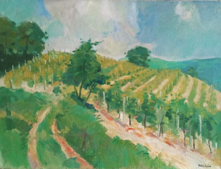 Vinice