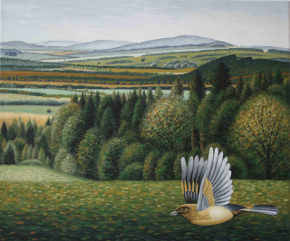 Český horizont