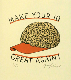 Make Your IQ
