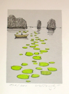 Lekníny