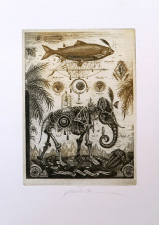 Elefant