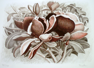 V keři