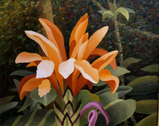 Oranžová