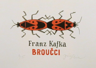 Franz Kafka - Broučci