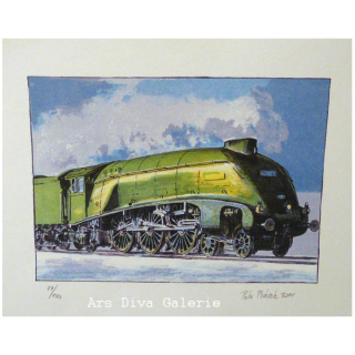 60019 BITTERN