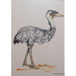 Tiché moře vypráví - Emu