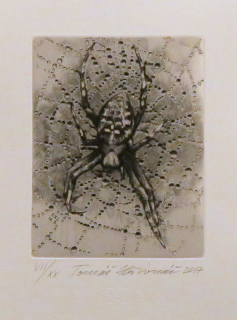 Ex libris