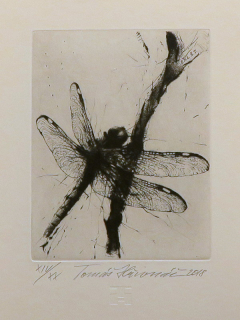 Ex libris