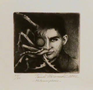 Metamorphosis