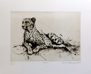 Gepard