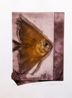 Hlubina II.